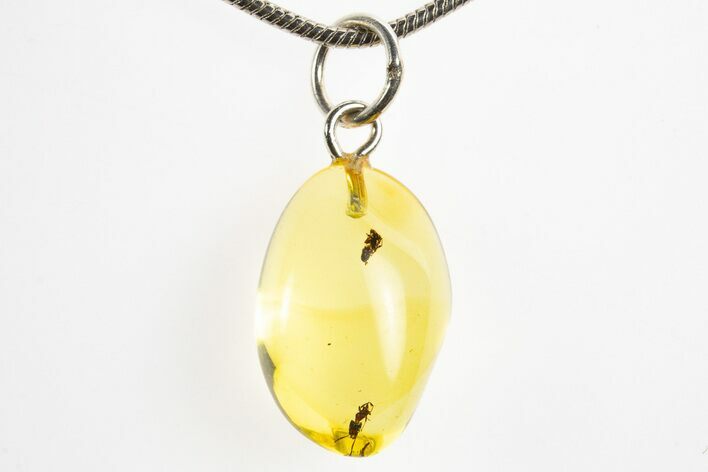 Polished Baltic Amber Pendant (Necklace) - Contains Small Ants! #328499